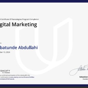 Babatunde Udacity Digital Marketing (Phase 1)
